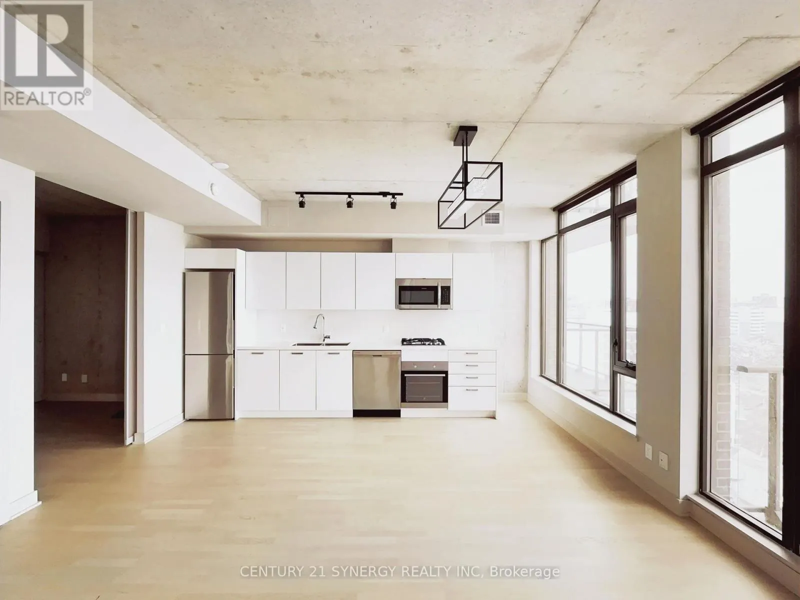 1209 - 203 CATHERINE STREET