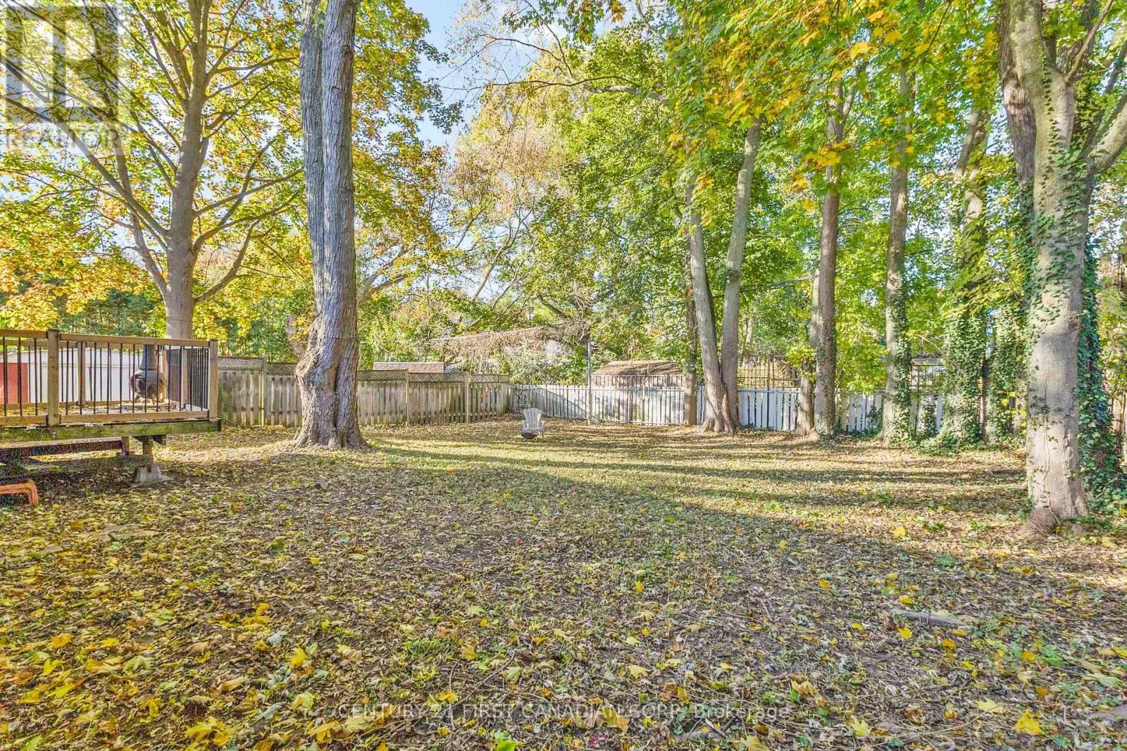 441 BELVEDERE AVENUE