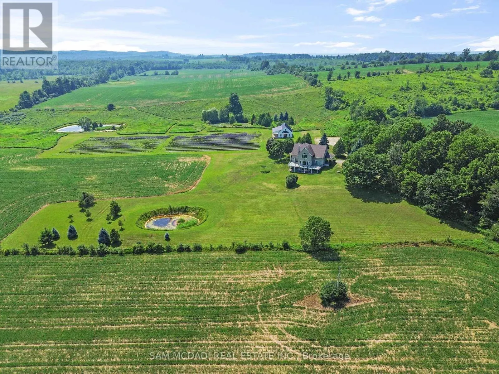 12 - 137122 GREY ROAD