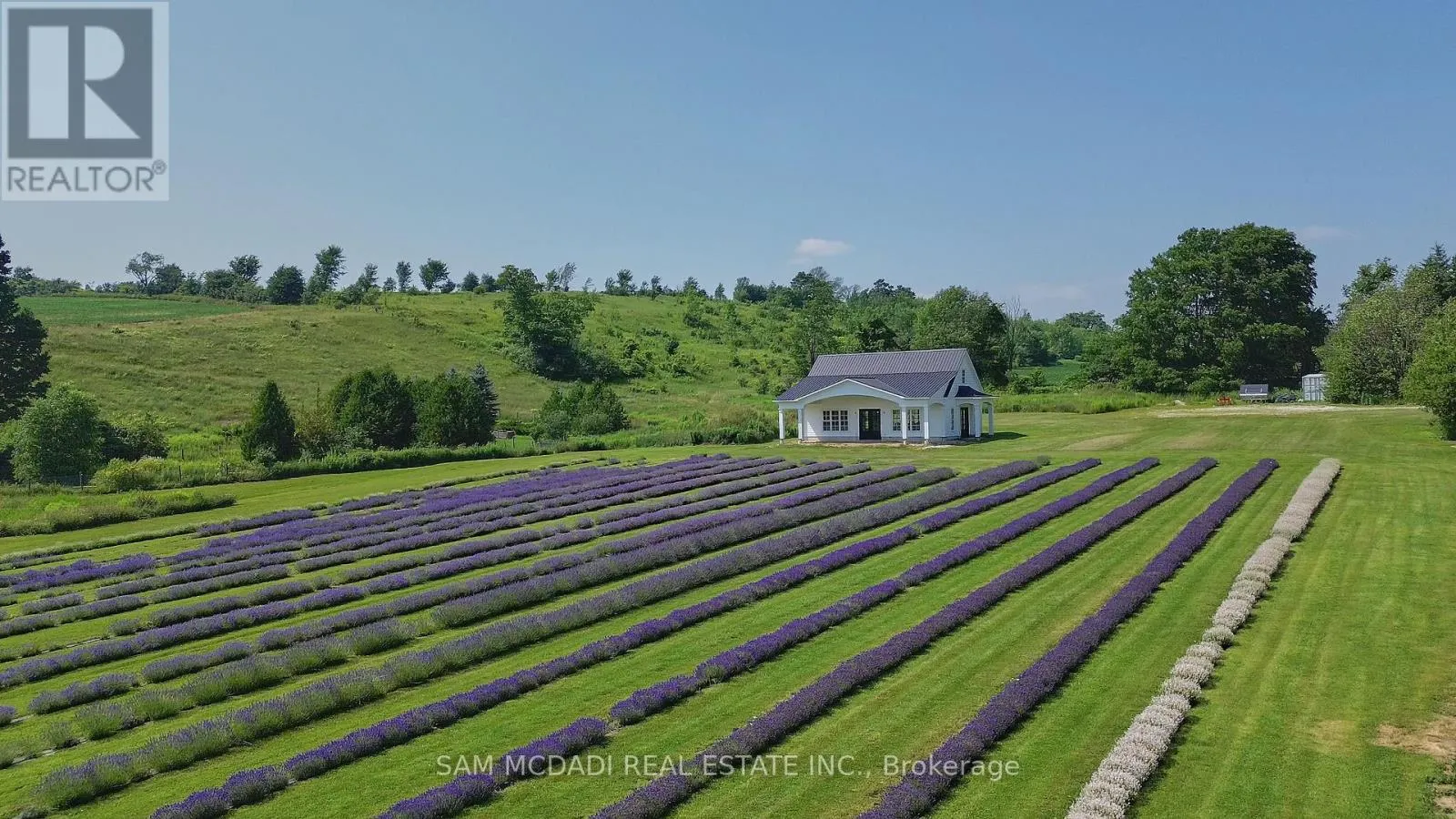 12 - 137122 GREY ROAD