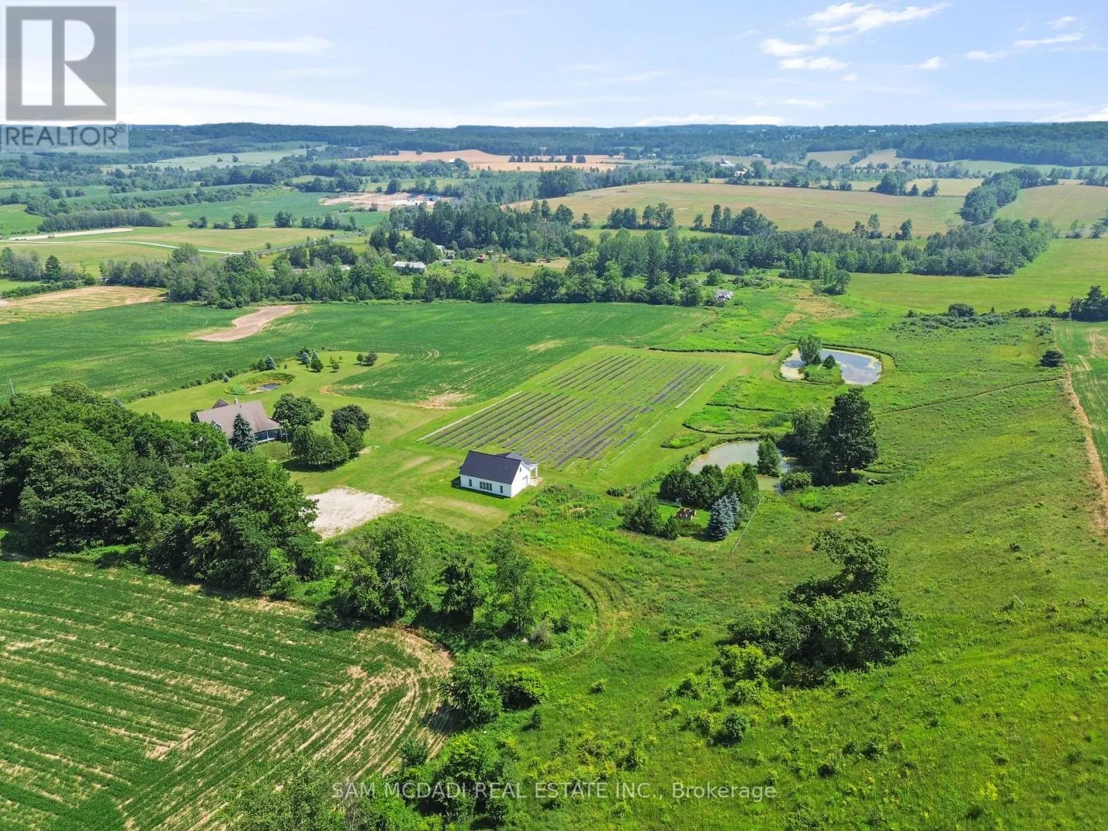 12 - 137122 GREY ROAD