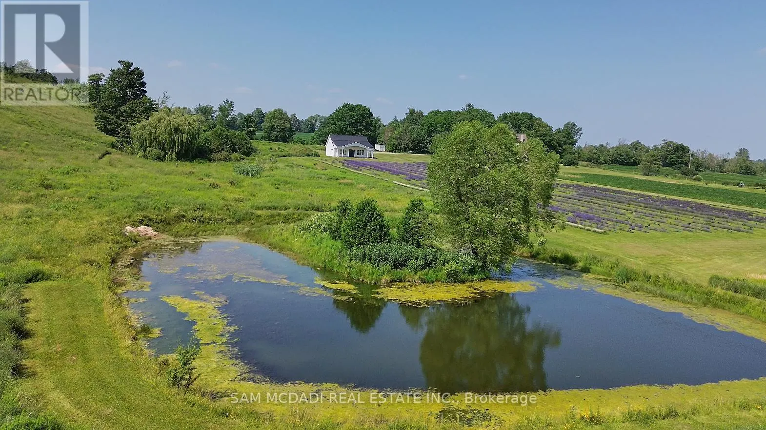 12 - 137122 GREY ROAD