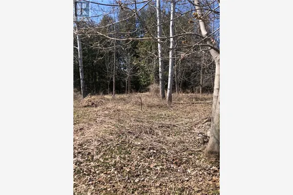 35A CLOVERLOFT COURT