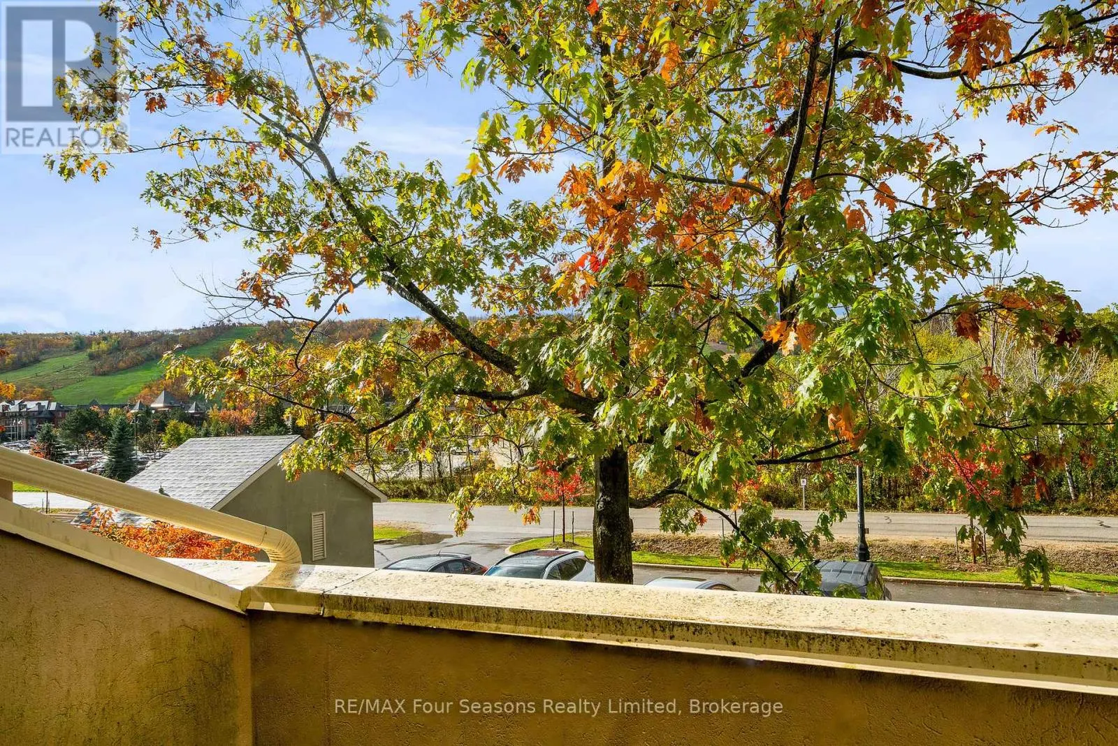 113 - 107 WINTERGREEN PLACE, #113