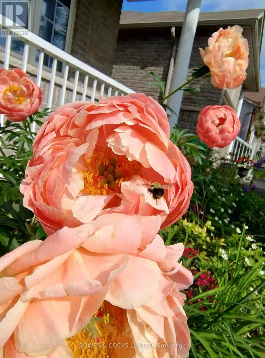 210 FARRIER CRESCENT