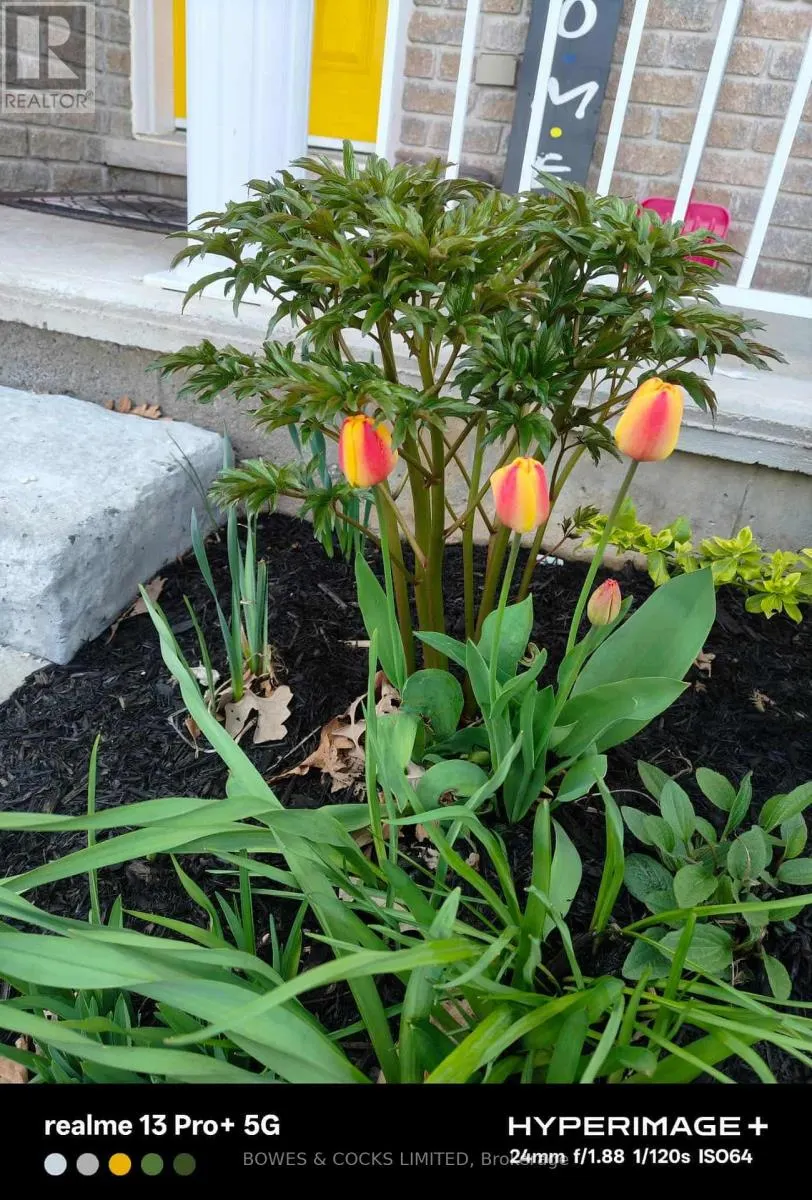 210 FARRIER CRESCENT