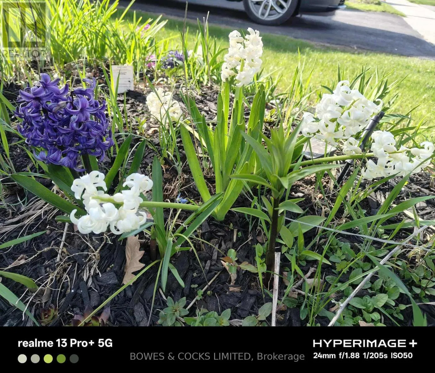 210 FARRIER CRESCENT