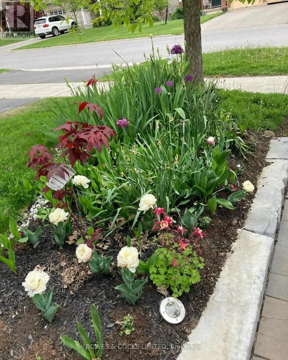 210 FARRIER CRESCENT