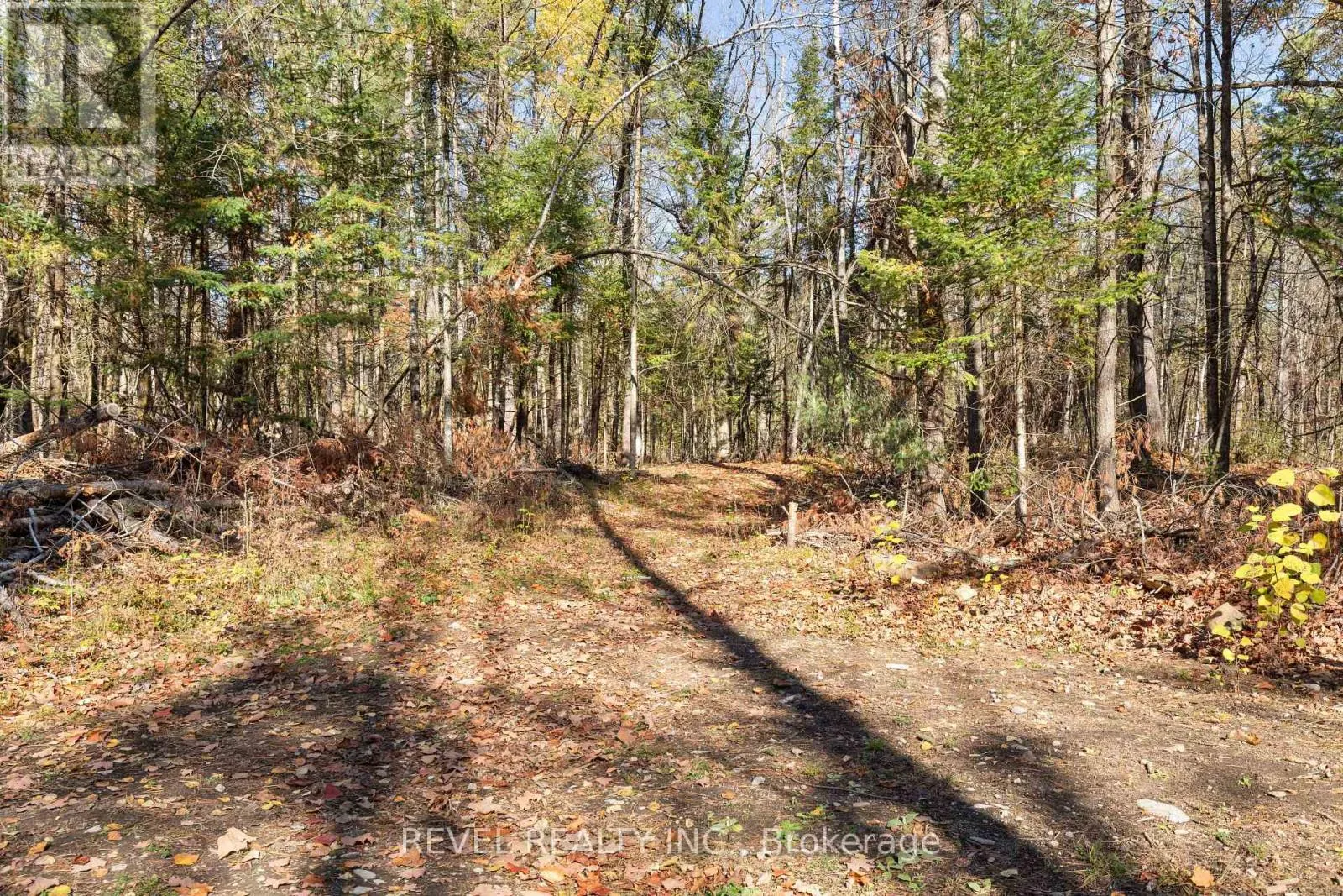 2371 COUNTY RD 48 ROAD