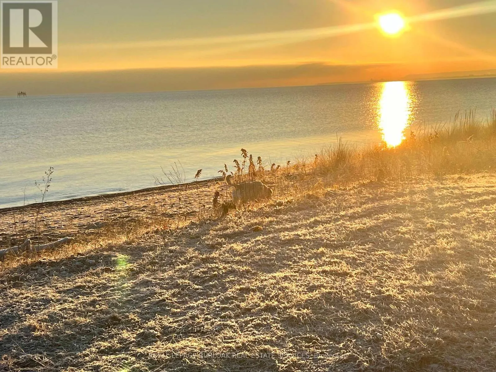 7 - 337 BEACH BOULEVARD