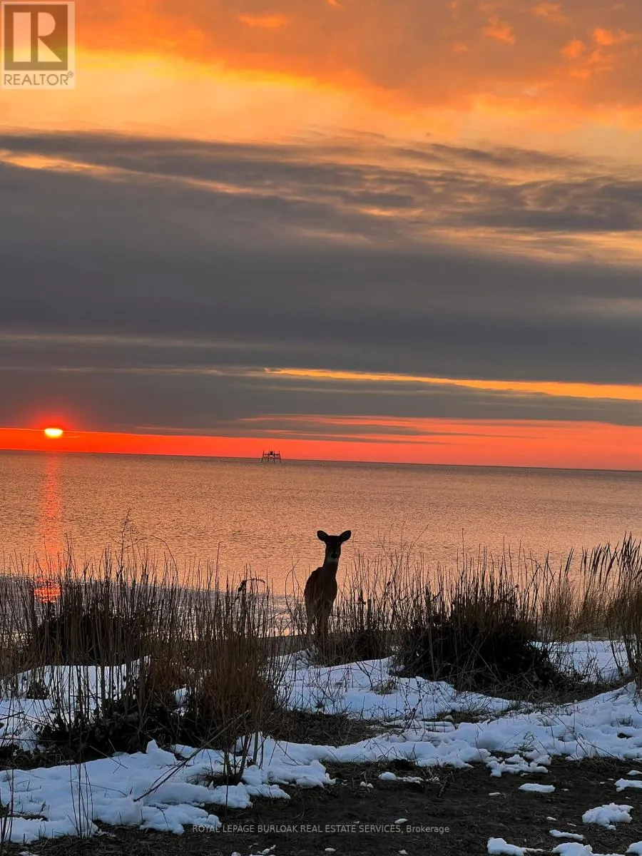 7 - 337 BEACH BOULEVARD