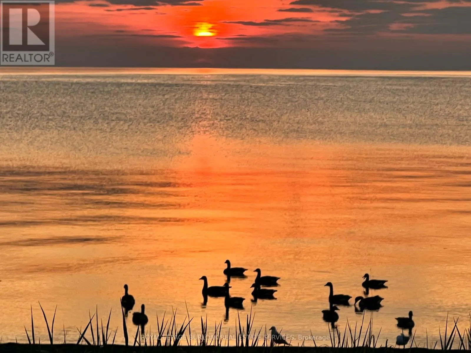 7 - 337 BEACH BOULEVARD