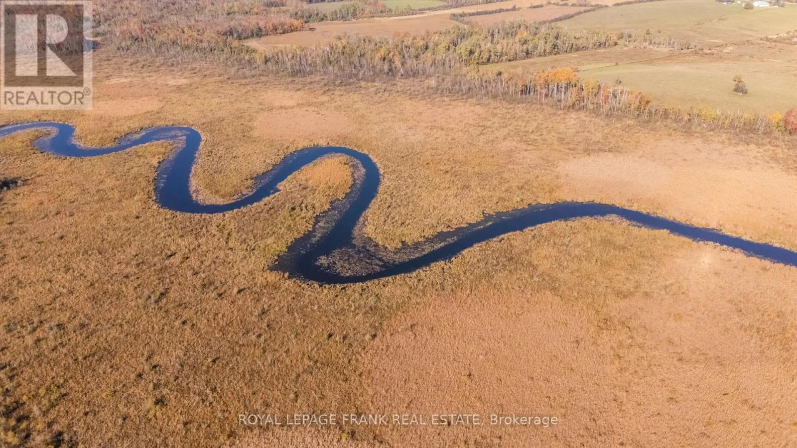 740 MOUNT HOREB ROAD