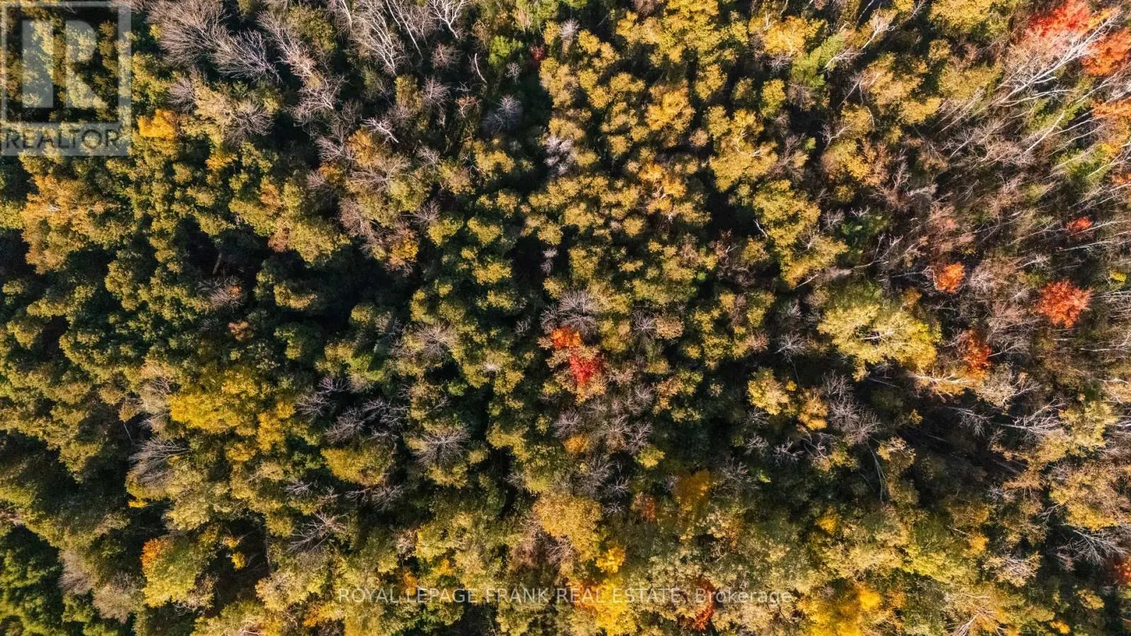 740 MOUNT HOREB ROAD