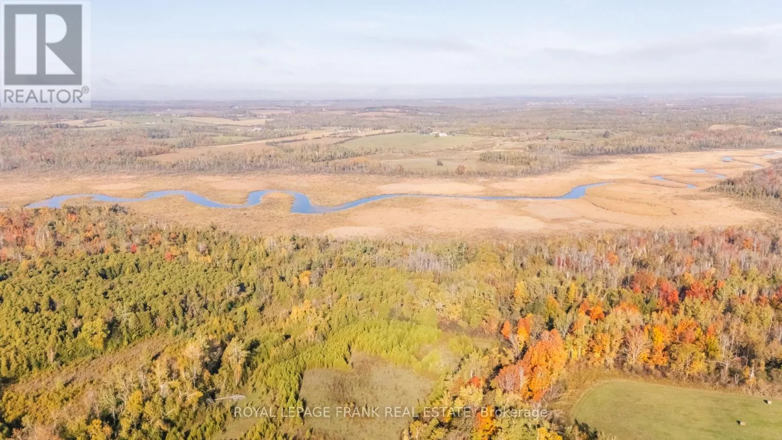 740 MOUNT HOREB ROAD