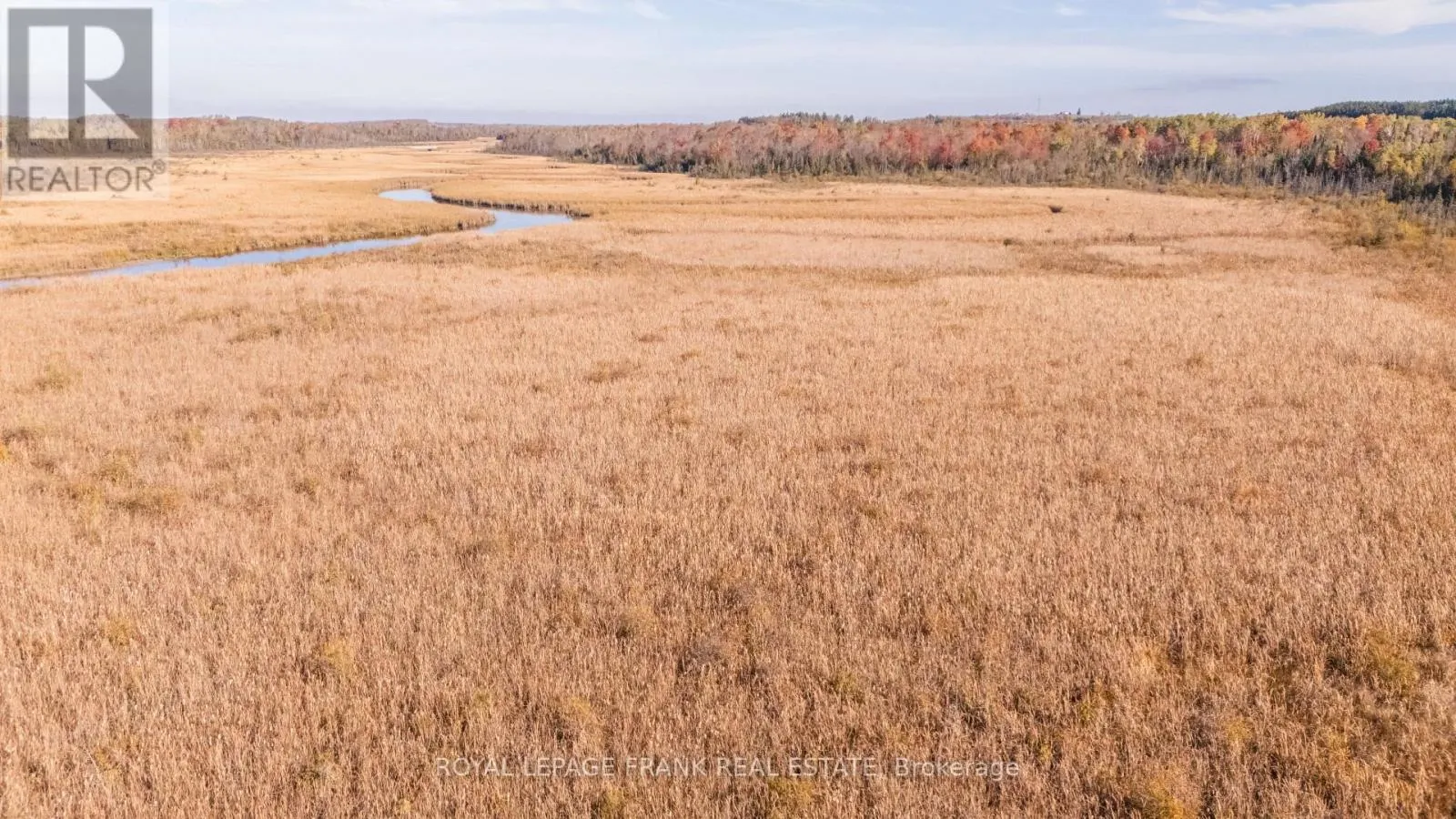 740 MOUNT HOREB ROAD