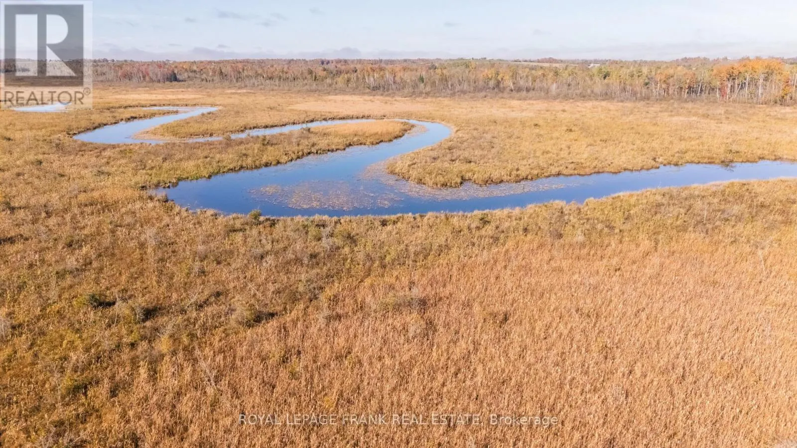 740 MOUNT HOREB ROAD