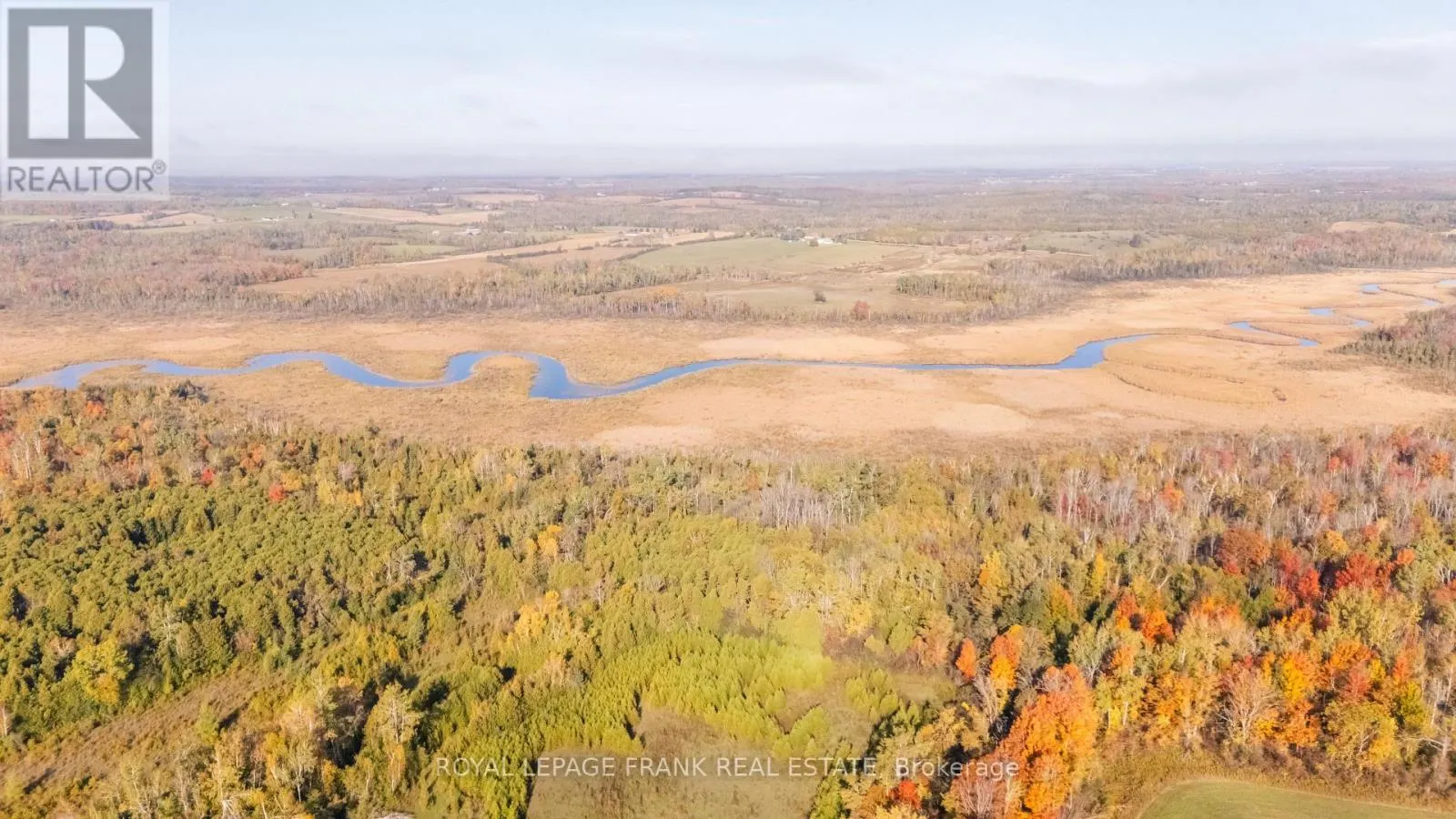 740 MOUNT HOREB ROAD