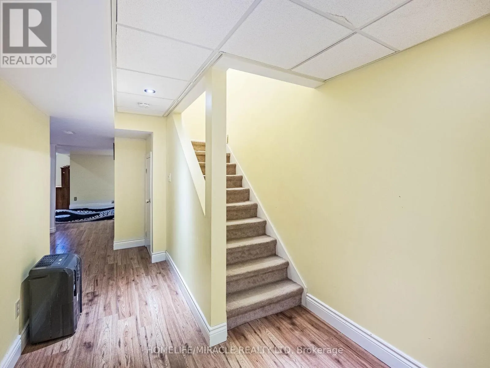 238 CANDLEWOOD DRIVE