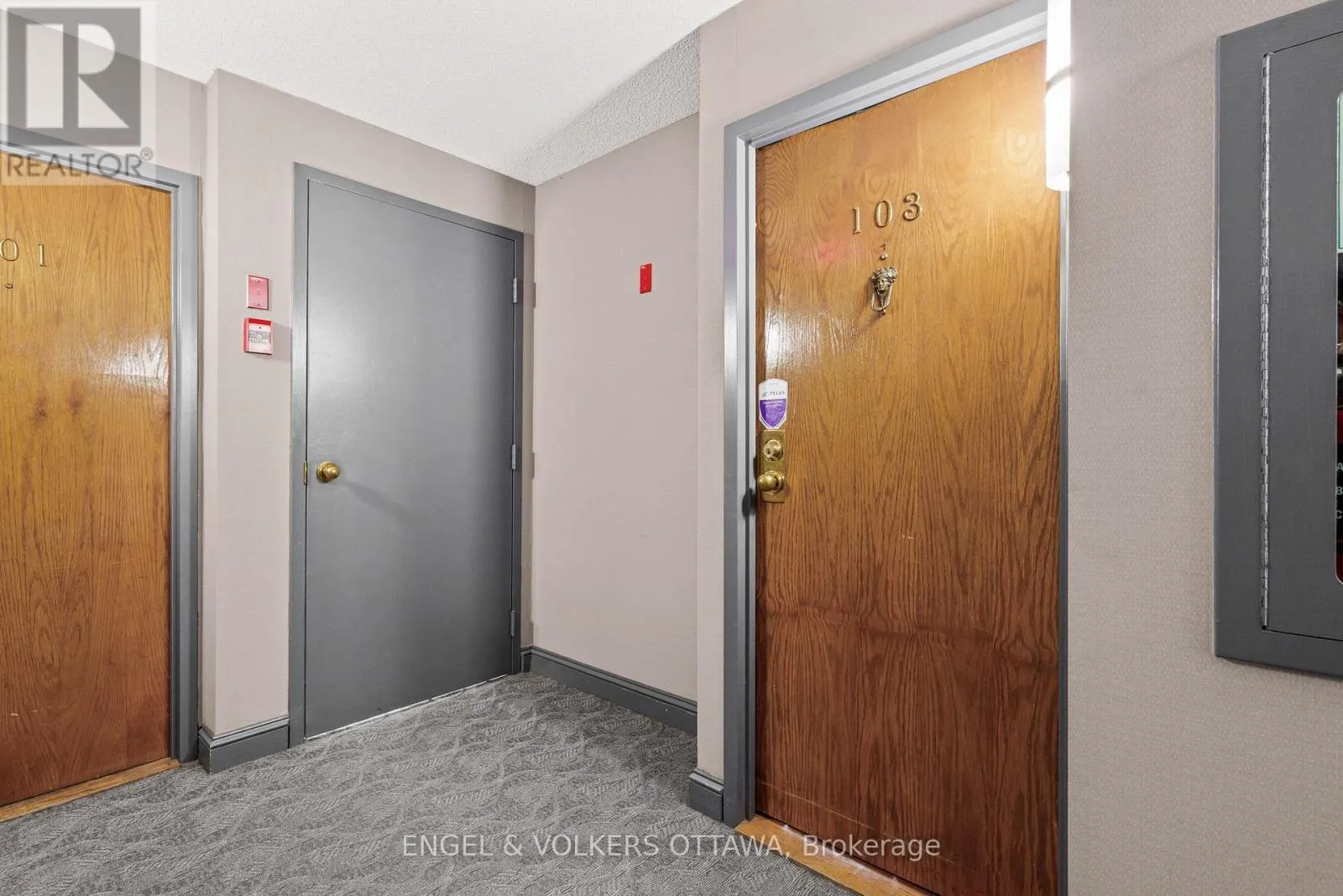 103 - 295 GILMOUR STREET