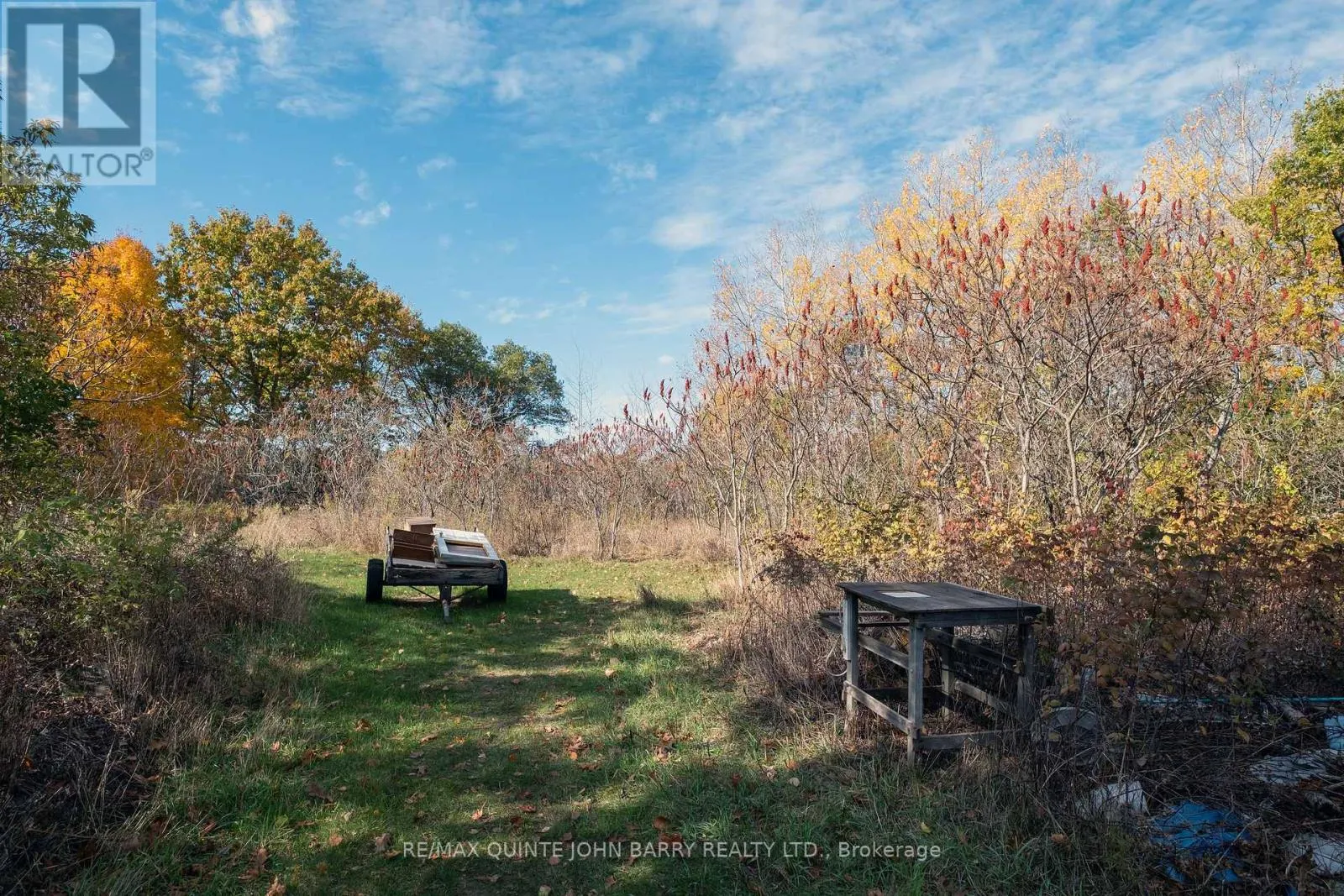 16586 TELEPHONE ROAD