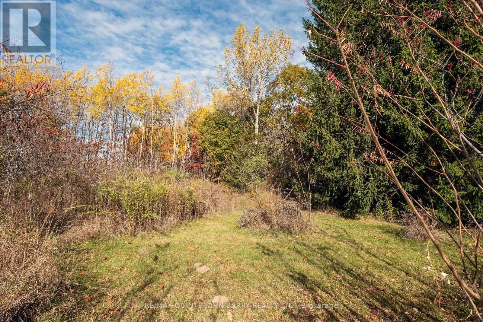 16586 TELEPHONE ROAD