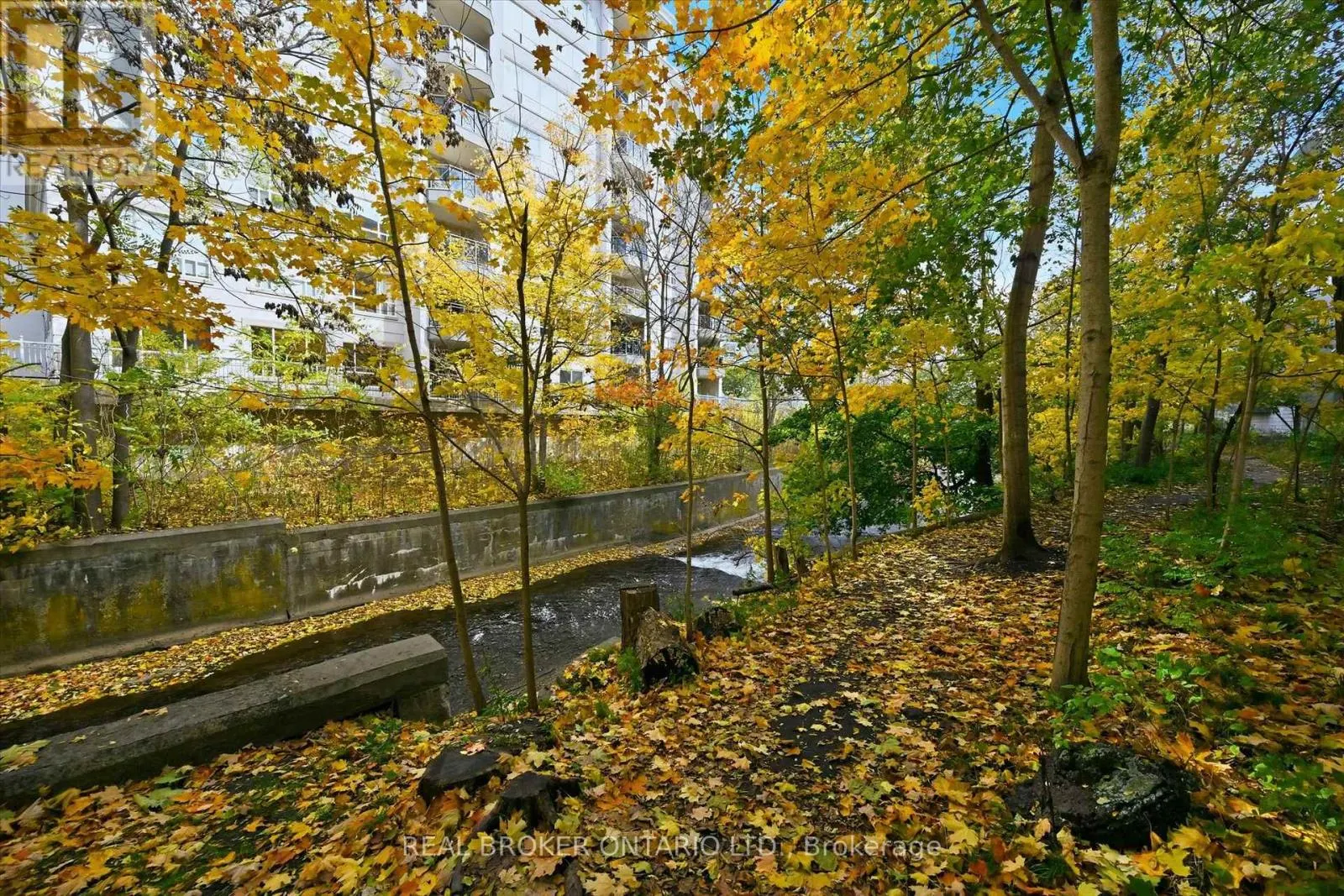 207 - 77 GOVERNORS ROAD