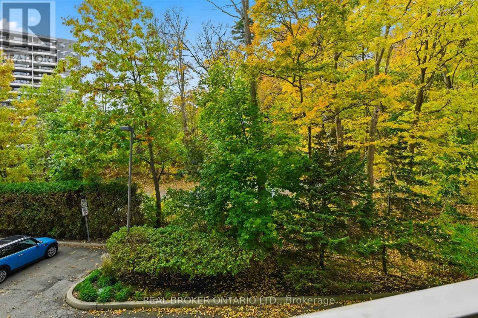 207 - 77 GOVERNORS ROAD