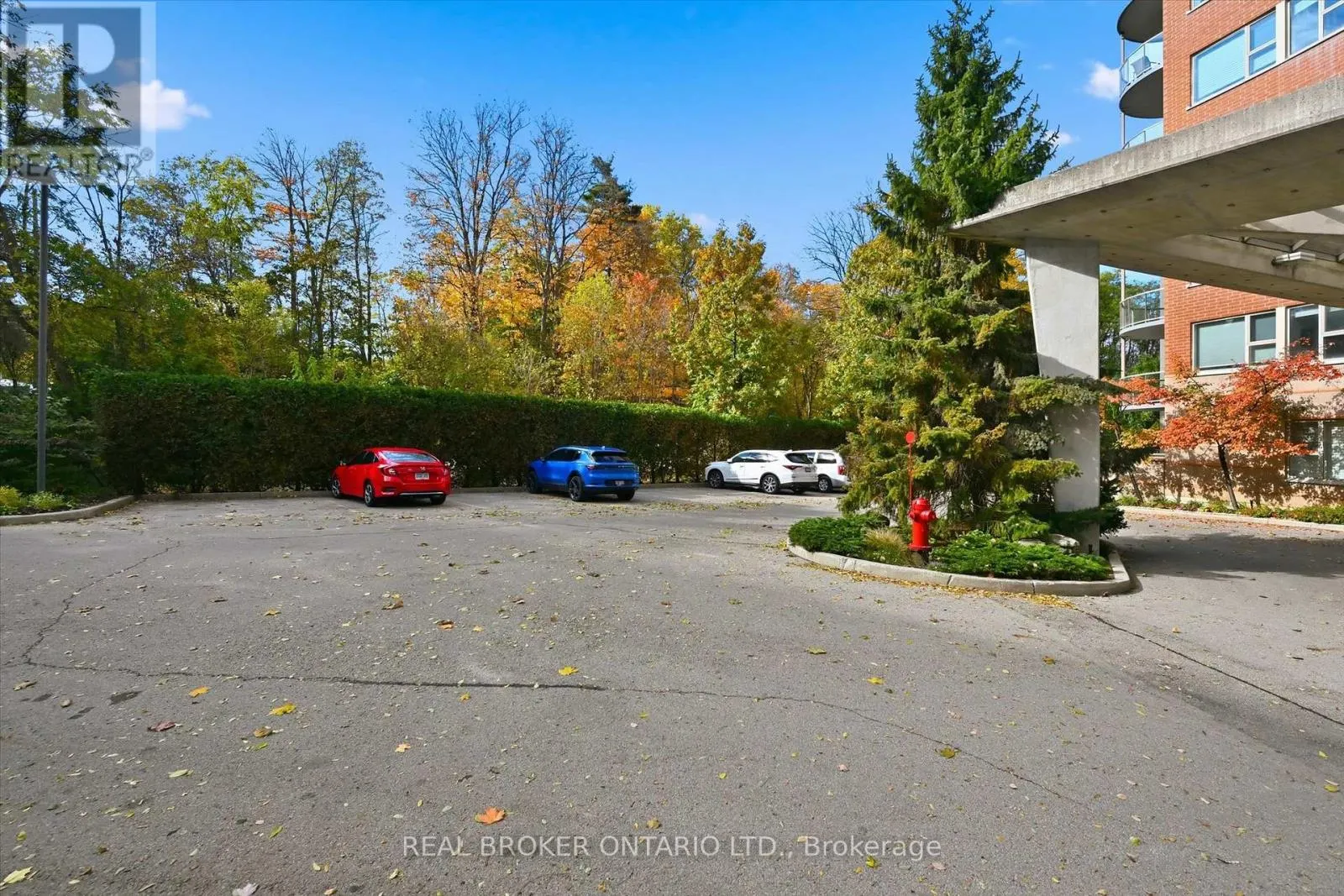 207 - 77 GOVERNORS ROAD