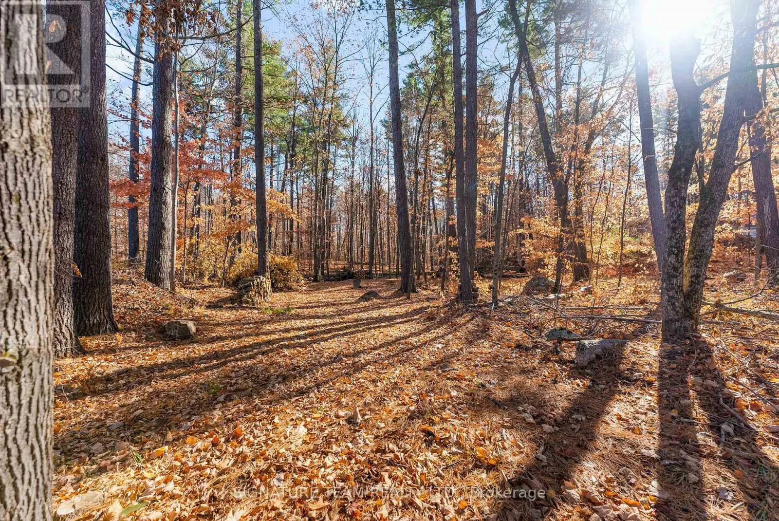 368 ROCKY POINT DRIVE