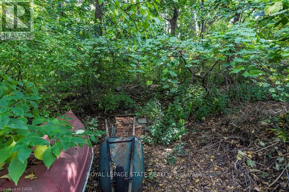 210 CHARLTON AVENUE E