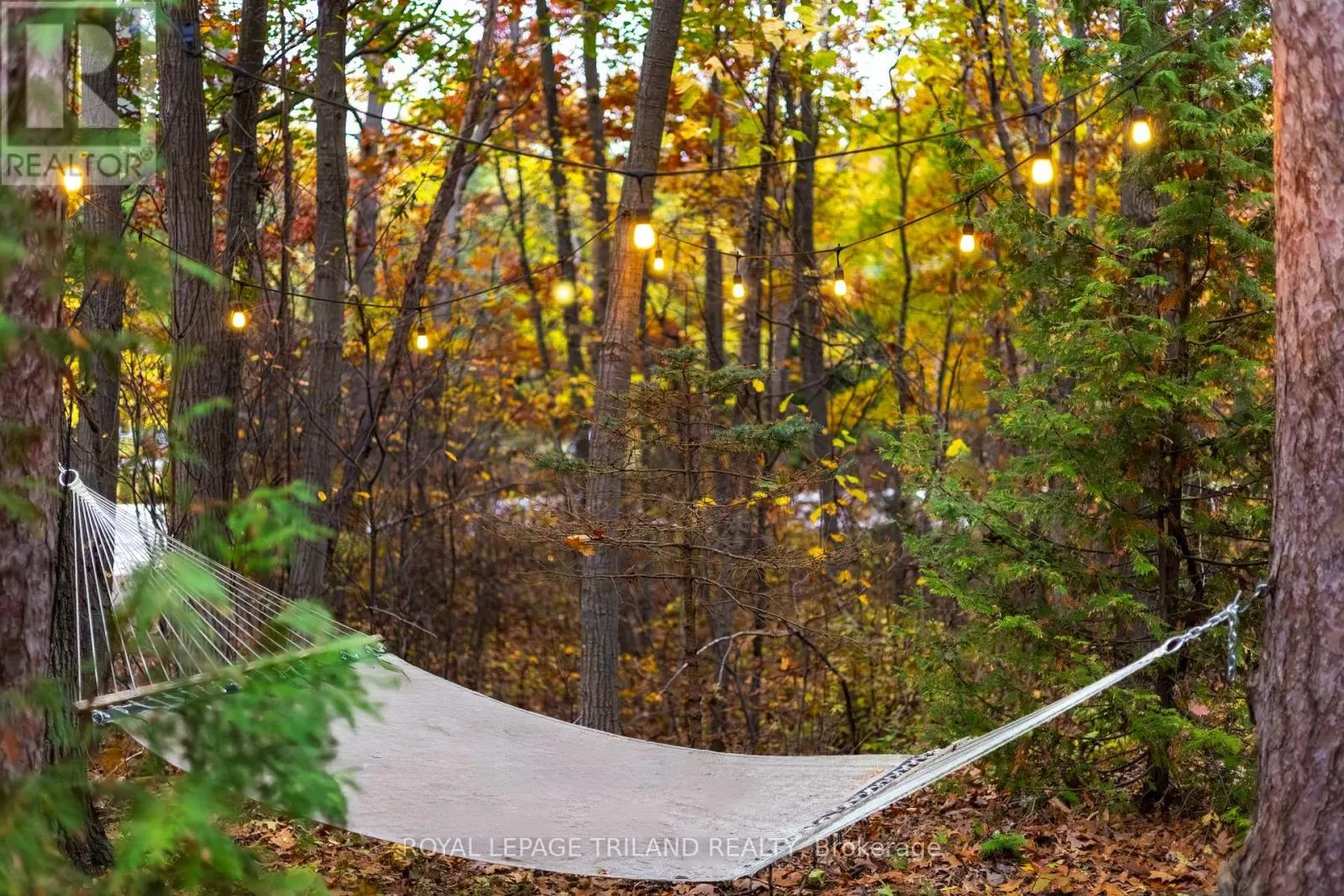 10092 LAKESHORE ROAD