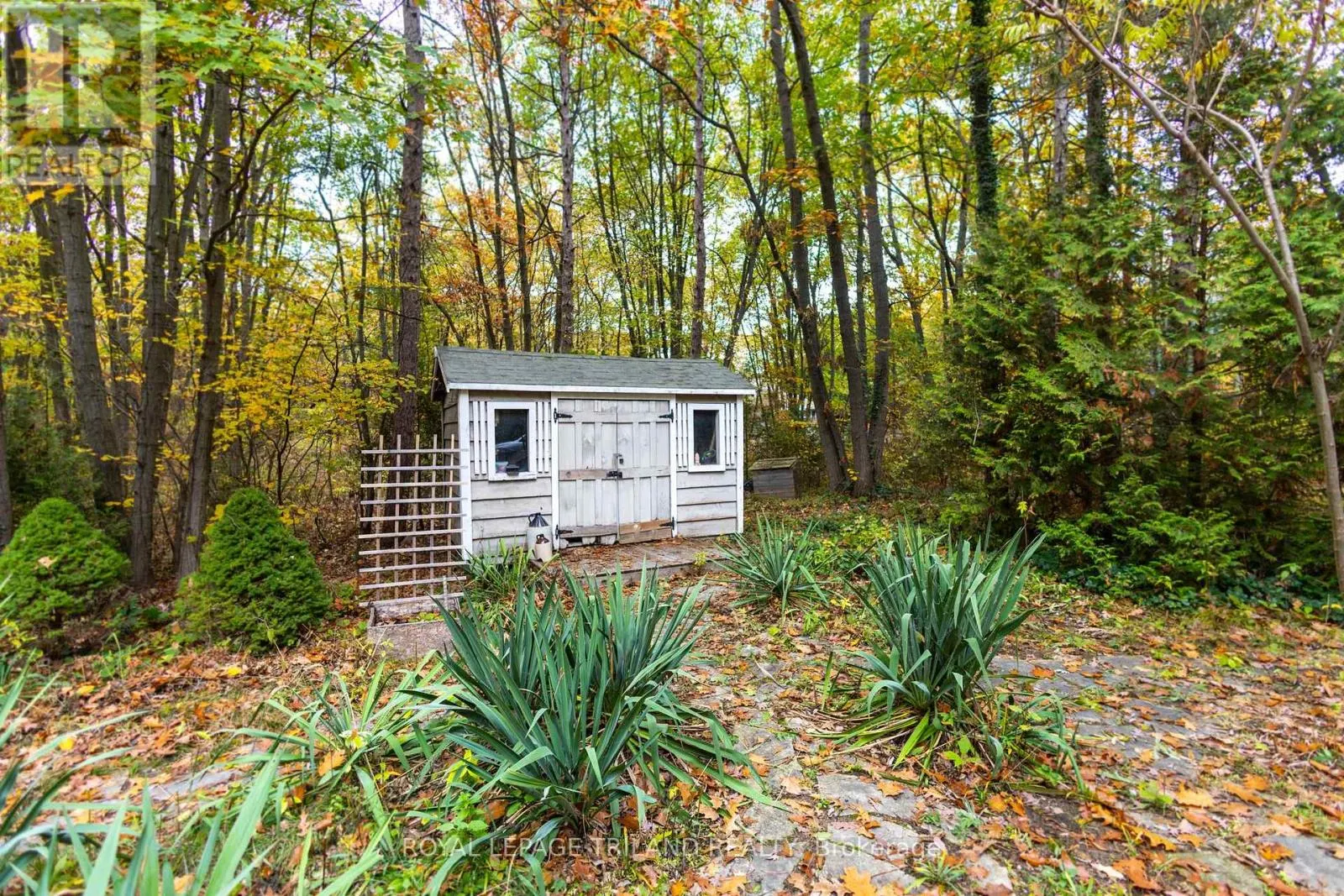 10092 LAKESHORE ROAD