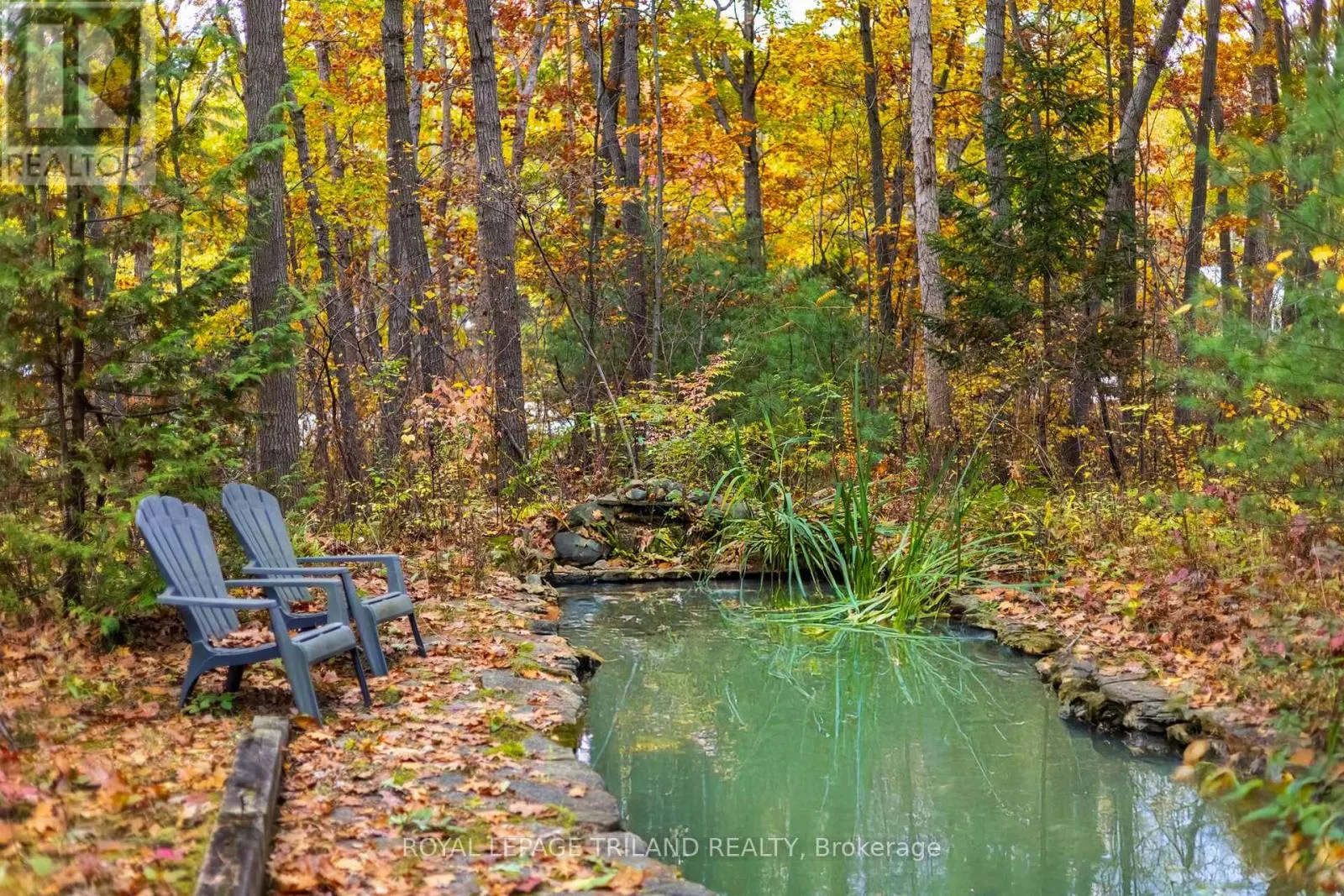 10092 LAKESHORE ROAD