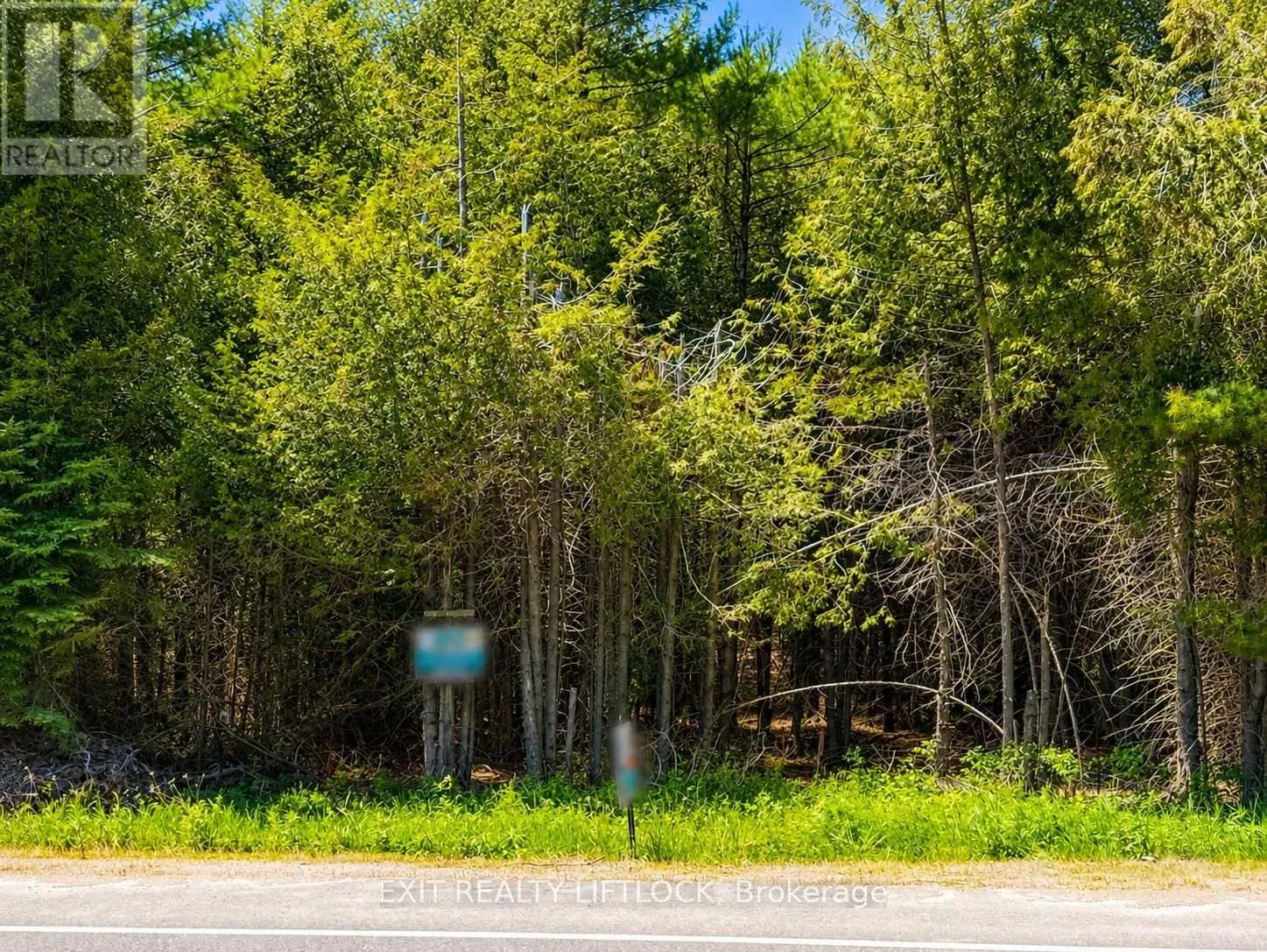 590 COUNTY RD 40
