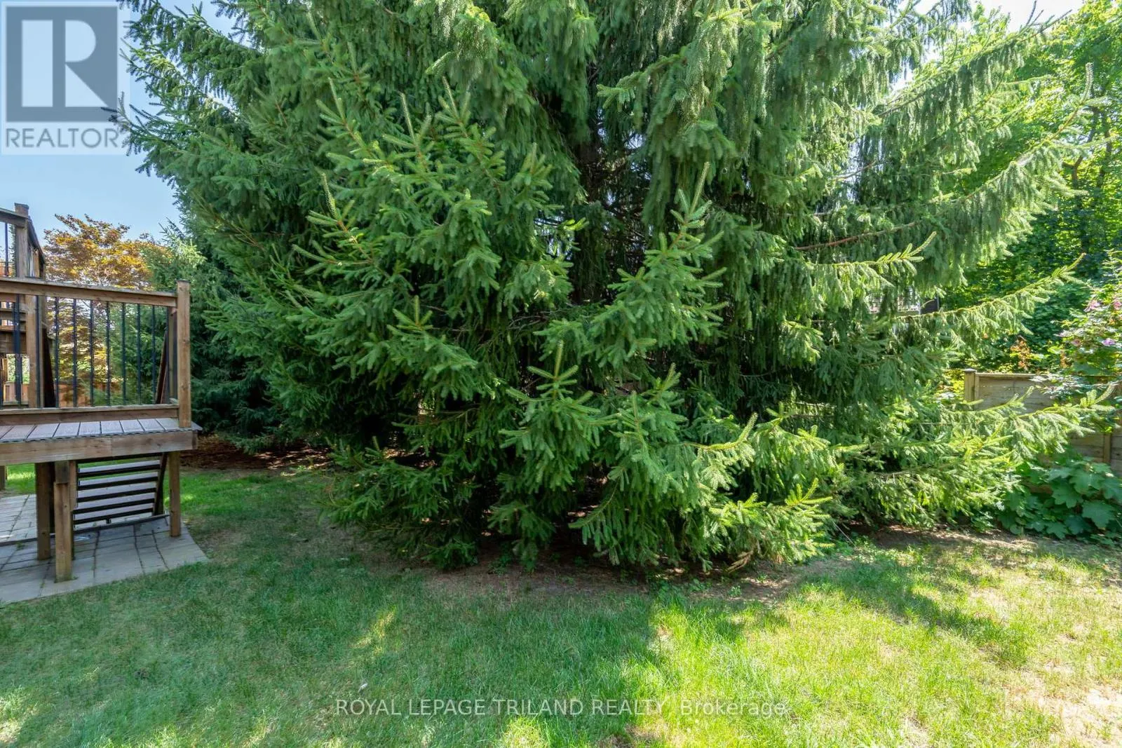 1 - 537 CRESTWOOD DRIVE, #1