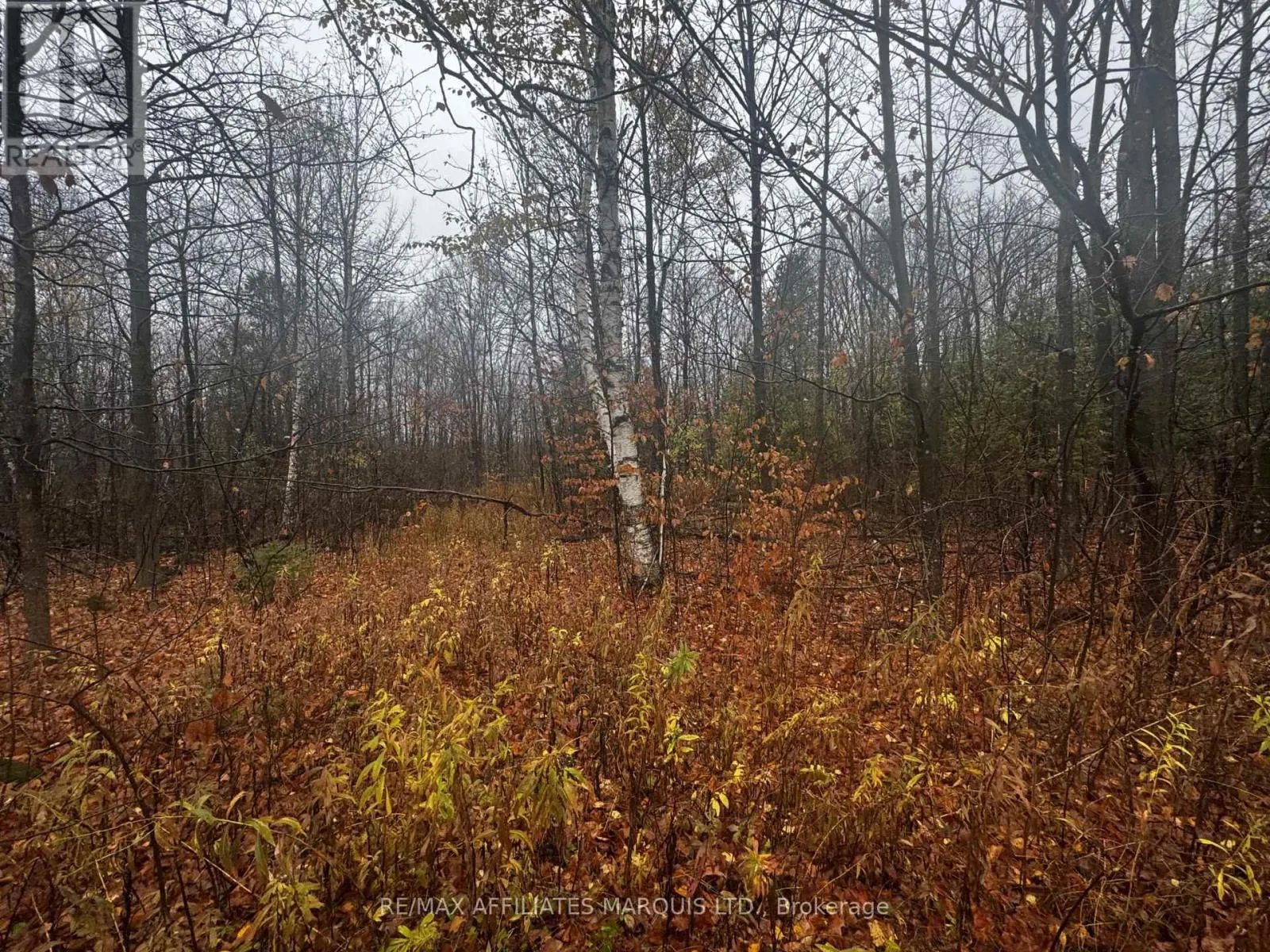 LOT COUNTY ROAD 43 ROAD