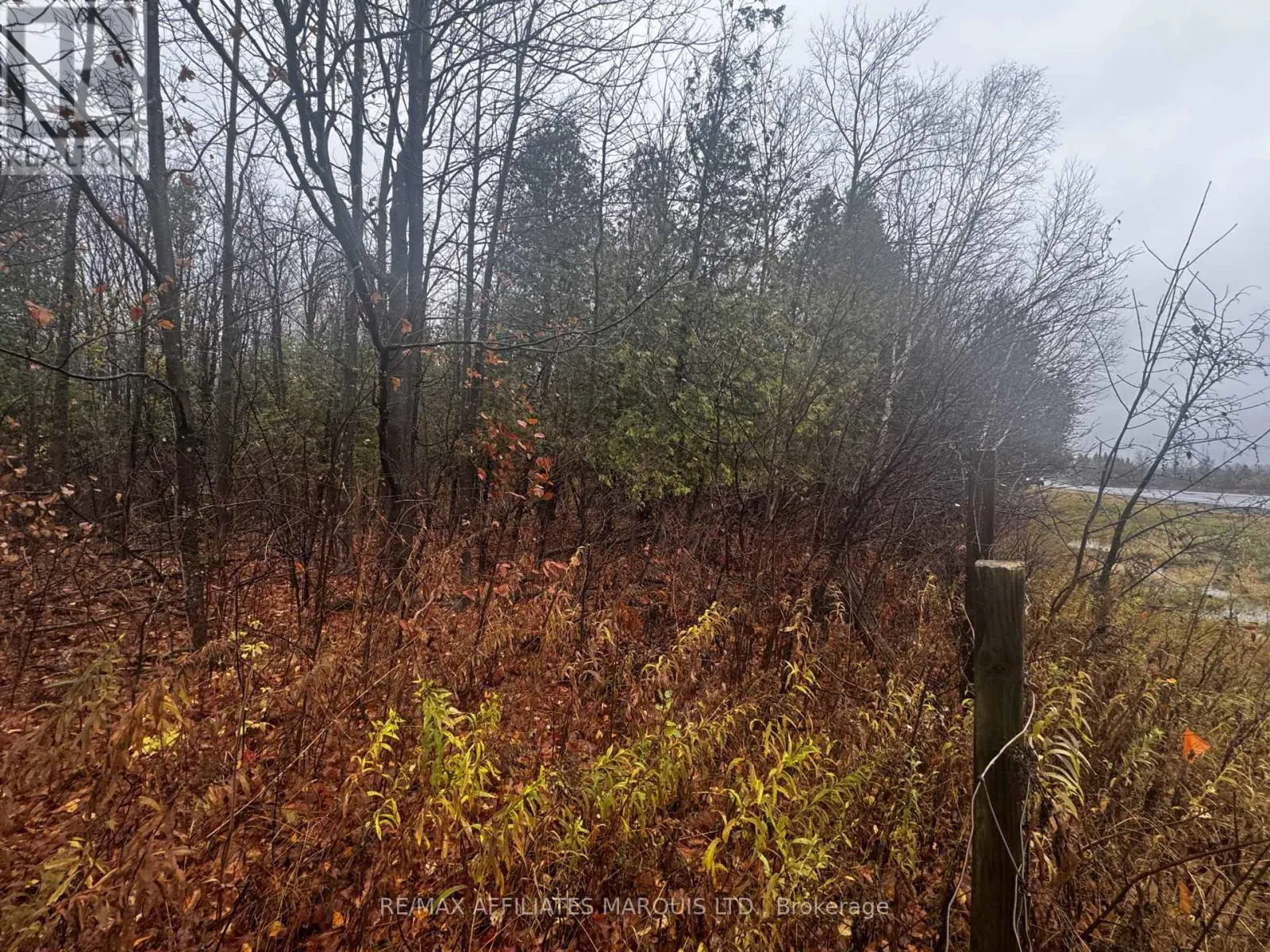 LOT COUNTY ROAD 43 ROAD