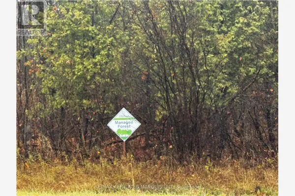 LOT COUNTY ROAD 43 ROAD