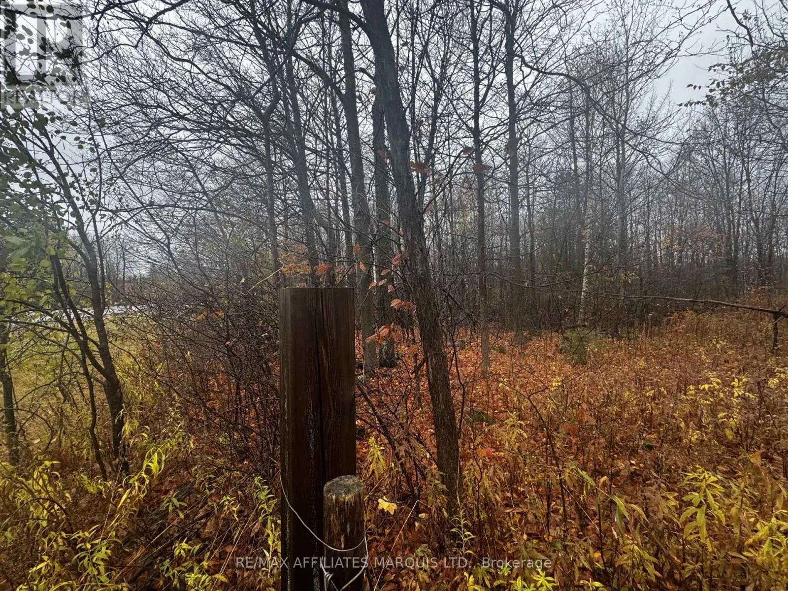 LOT COUNTY ROAD 43 ROAD