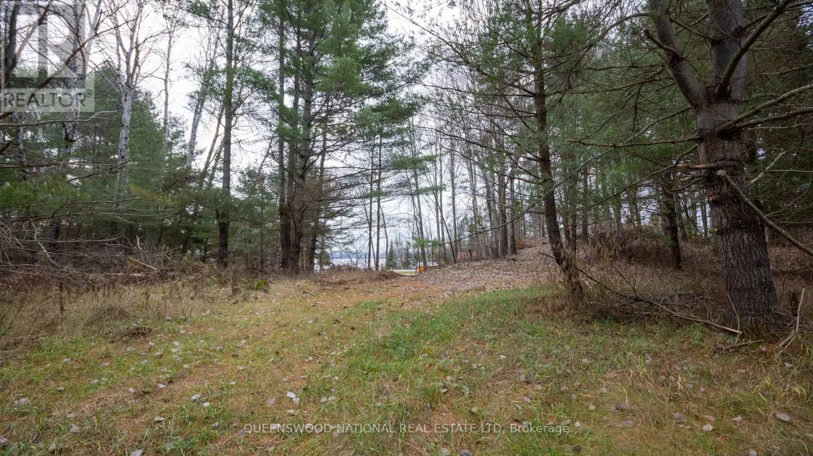 12894 HIGHWAY 60 ROUTE