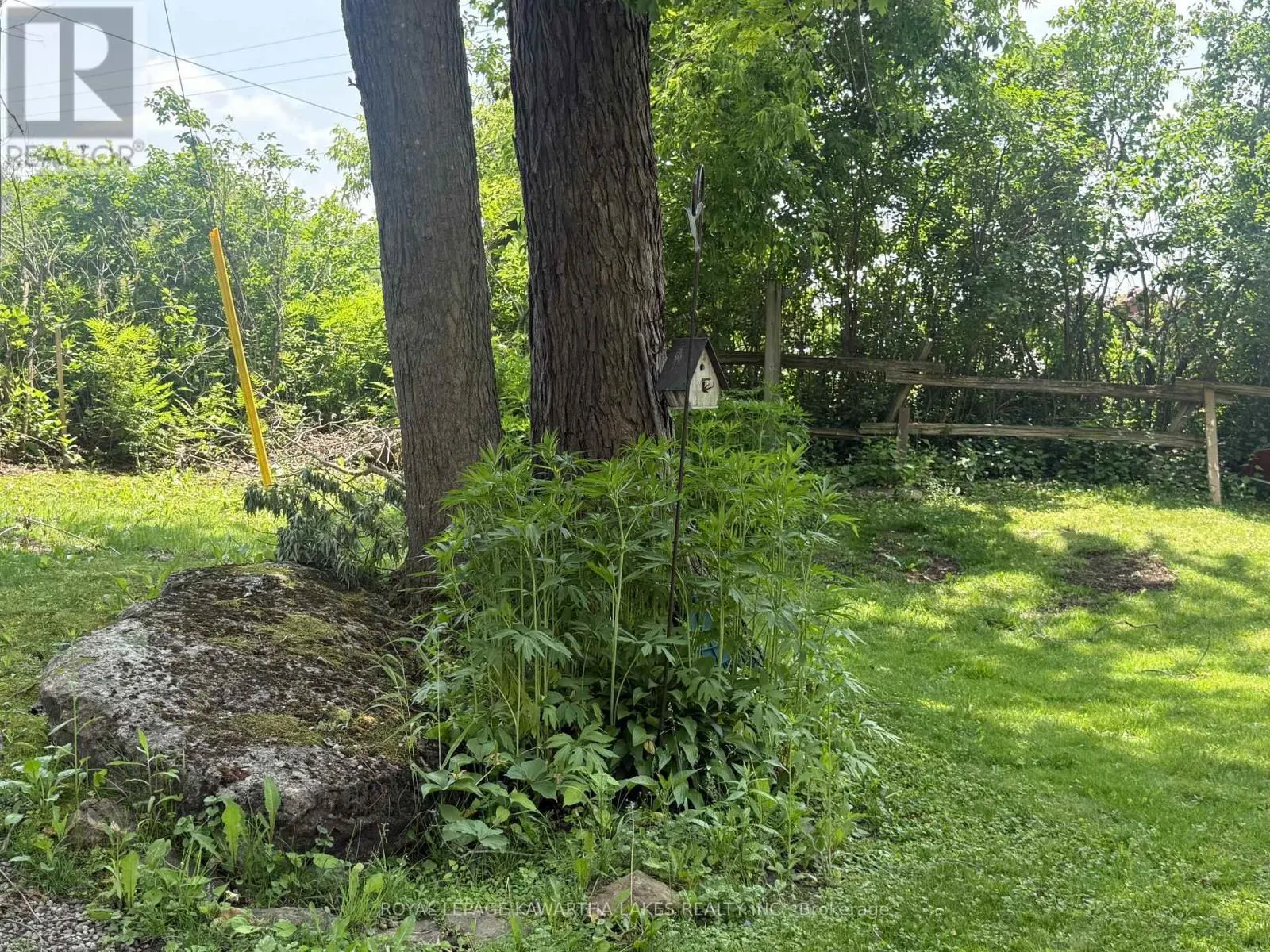 5 GOVERNMENT DOCK ROAD