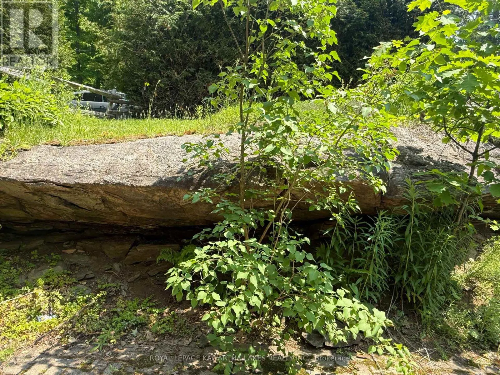 5 GOVERNMENT DOCK ROAD