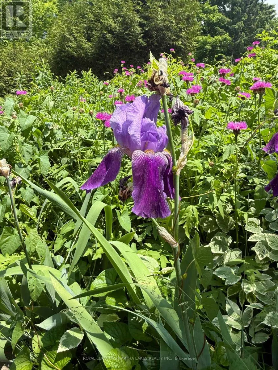 5 GOVERNMENT DOCK ROAD