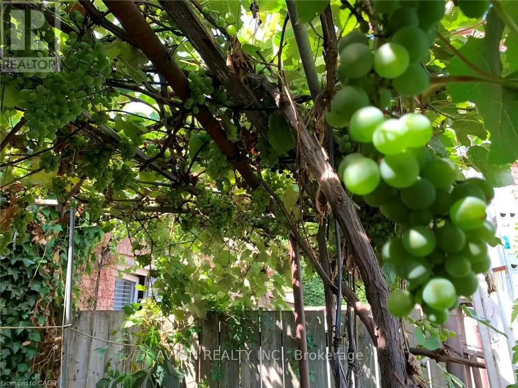 2 - 26 BARTON STREET W