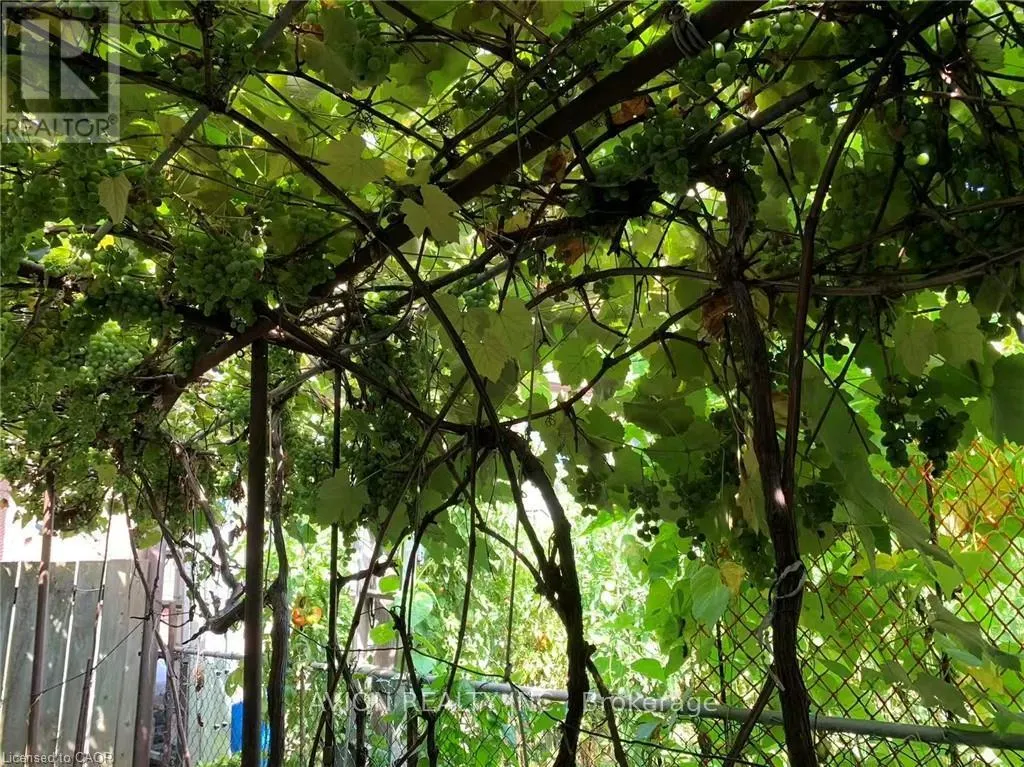 2 - 26 BARTON STREET W