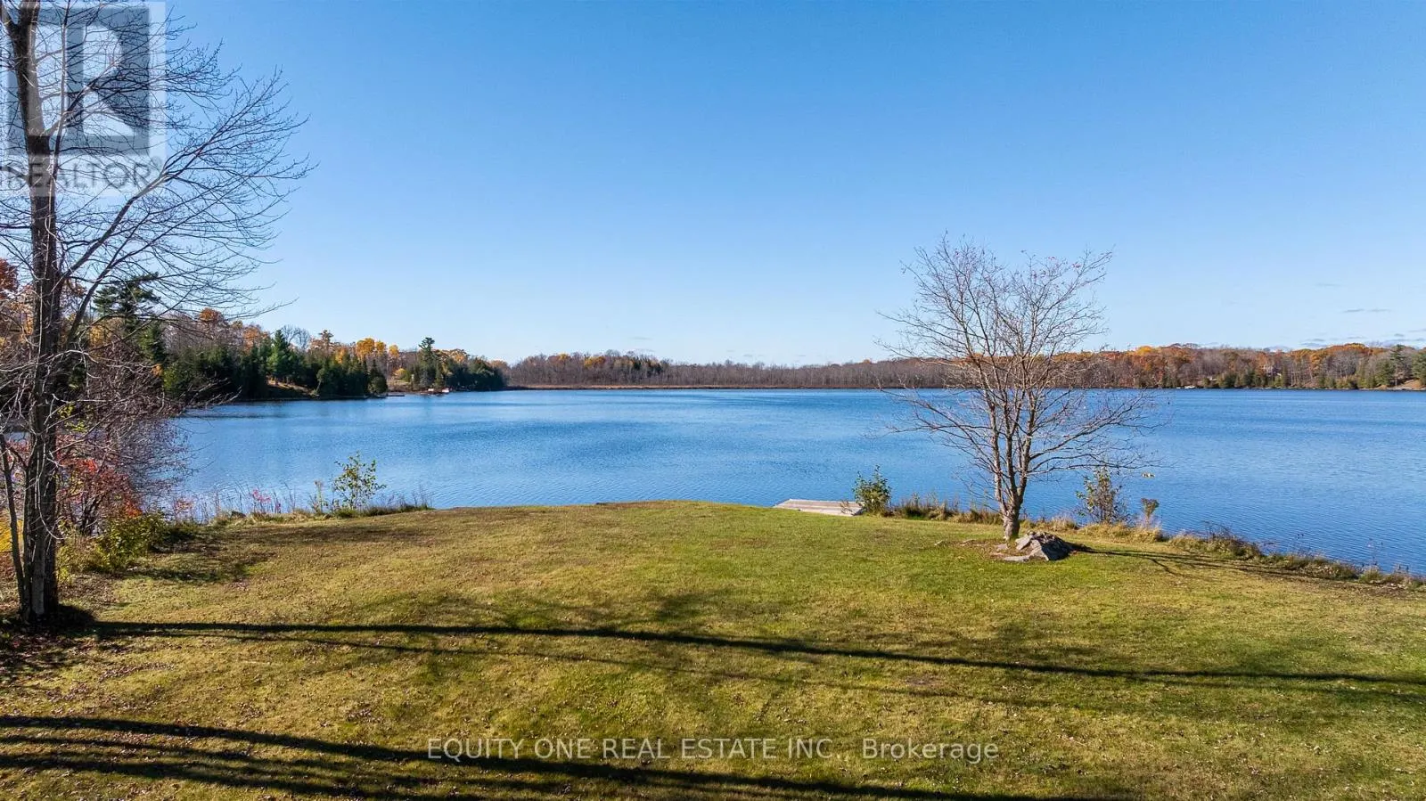 1099C POLAR BEAR LANE