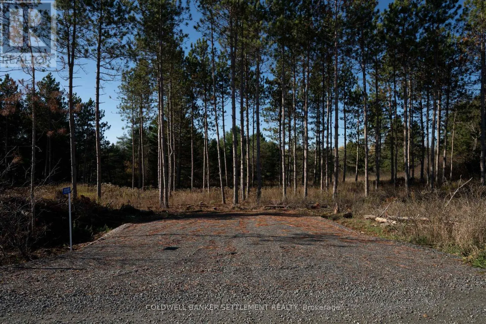 1015 CONCESSION 5A ROAD