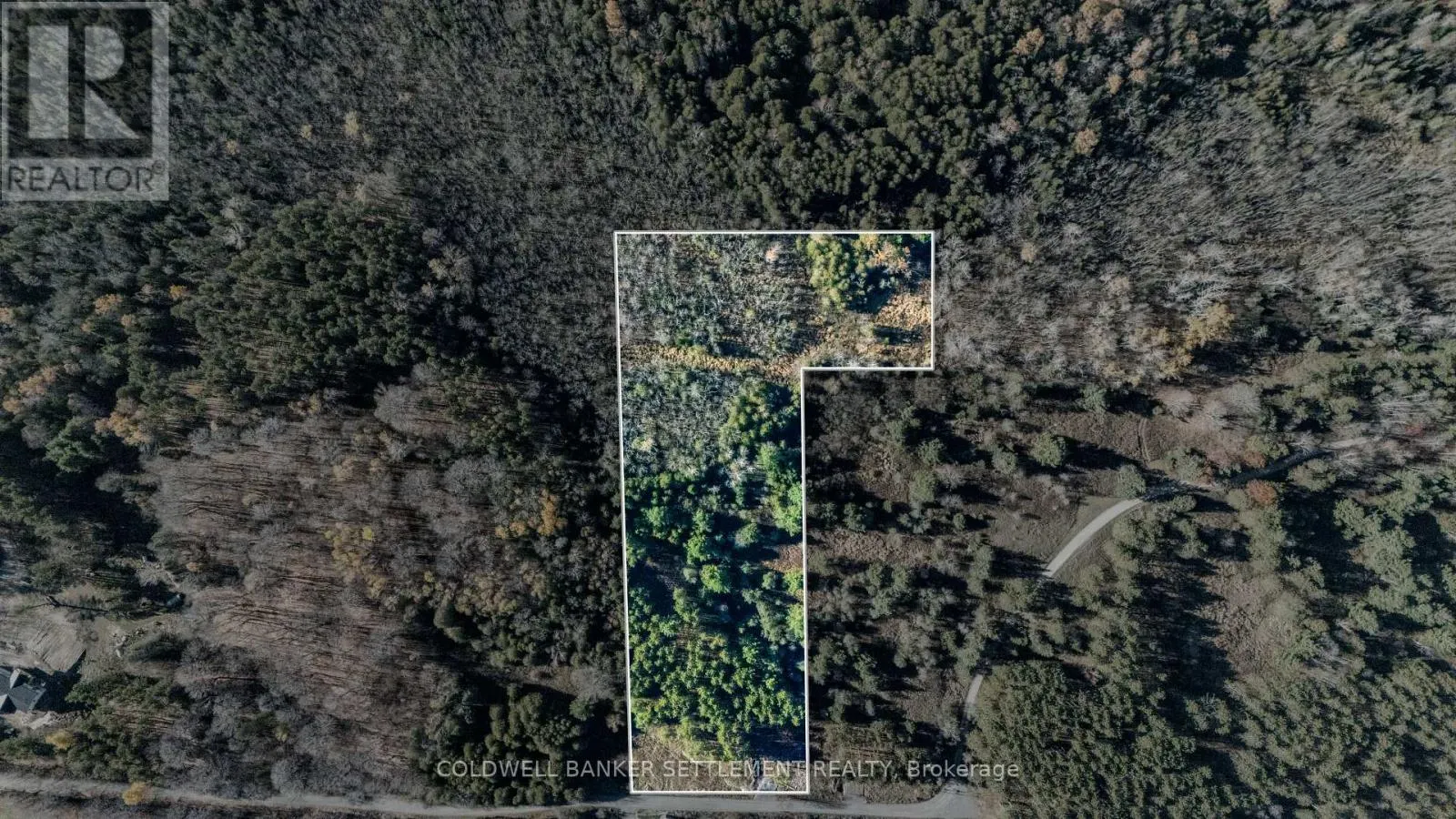 1007 CONCESSION 5A ROAD