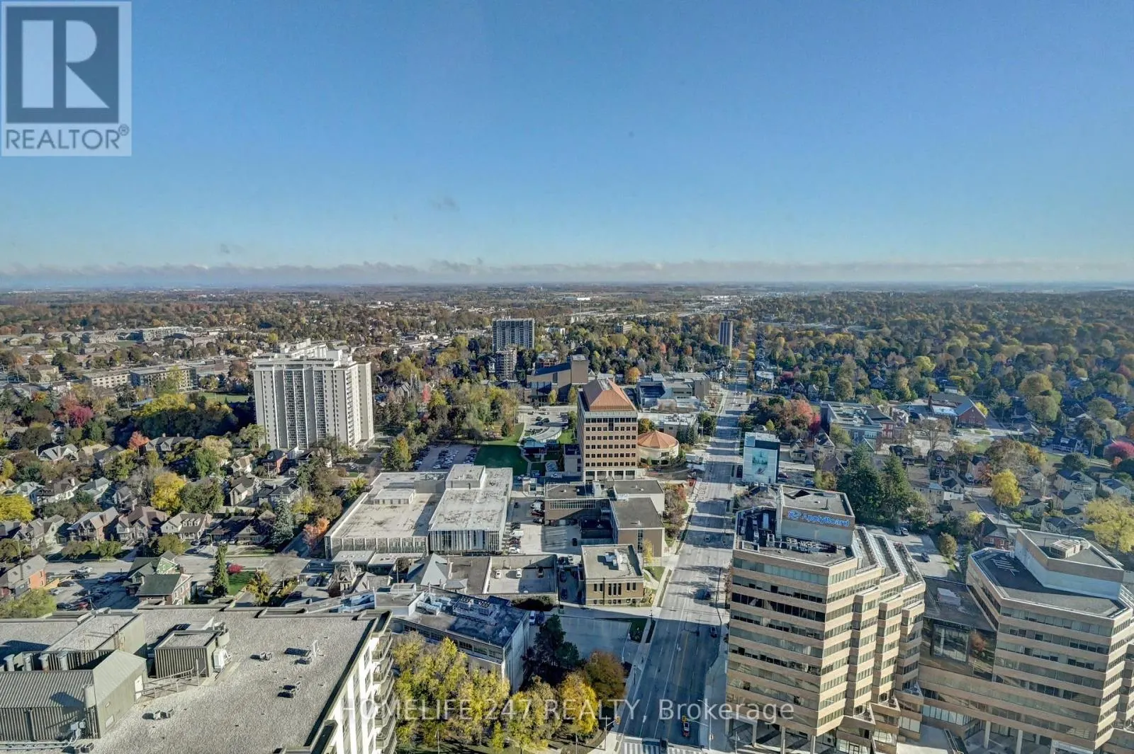 3102 - 60 FREDERICK STREET